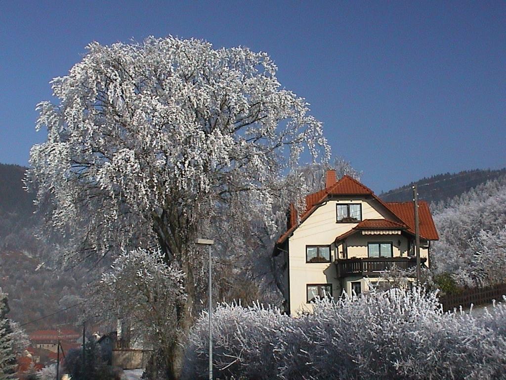 Ferienwohnung Panorama Rauenstein Exterior foto